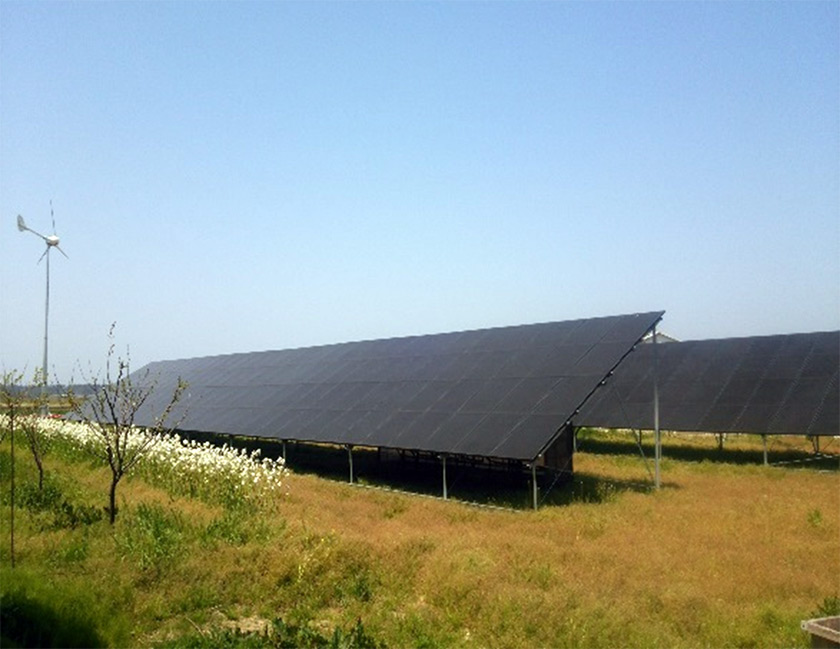 近藤ファームの画像