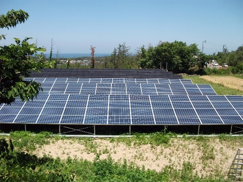 株式会社ウェルネス（越前浜）の画像