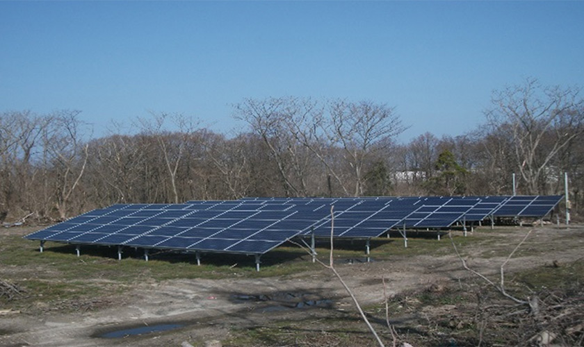 本間様(新発田)の画像 本間様(新発田)の画像