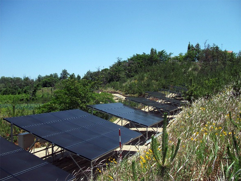 有限会社ビジョン・クエスト（越前浜）の画像